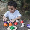 image:imagePlanToys 5 Wooden Colorful Vegetable Veggie Food Playset 3431  Sustainably Made from Rubberwood and NonToxic Paints and Dyes5 Colors Veggie Set