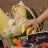 image:imagePlanToys 5 Wooden Colorful Vegetable Veggie Food Playset 3431  Sustainably Made from Rubberwood and NonToxic Paints and DyesFresh Produce Set D