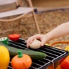 image:imagePlanToys 5 Wooden Colorful Vegetable Veggie Food Playset 3431  Sustainably Made from Rubberwood and NonToxic Paints and DyesFresh Produce Set E