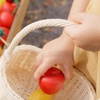 image:imagePlanToys 5 Wooden Colorful Vegetable Veggie Food Playset 3431  Sustainably Made from Rubberwood and NonToxic Paints and DyesFresh Produce Set a