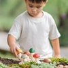 image:imagePlanToys 5 Wooden Colorful Vegetable Veggie Food Playset 3431  Sustainably Made from Rubberwood and NonToxic Paints and DyesPlay  Pick Mushrooms