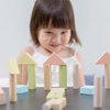 image:imagePlanToys Creative Blocks Wooden Montessori Building and Imagination Toy in Orchard Shade  Fine Motor Spatial Reasoning and Early STEM Learning Activity  Eco Friendly Open Ended Play SetBlock Building