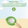 image:imagePlanToys Leaf Magnifier for Nature Exploration  Wooden Montessori STEM Toy for Kids Ages 3  Outdoor Discovery amp Science Learning Tool  EcoFriendly Educational Toy