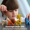 image:imagePlanToys Lion Wooden Montessori Imaginative and Creative Play Toy  Language Development Social Interaction and Early Coordination Activity  Eco Friendly Animal Figurine for Meaningful PlayWild Animals Set