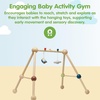 image:imagePlanToys Play Gym Wooden Baby Activity Toy in Pastel Colours  Montessori Sensory Play for Motor Skills Coordination amp Focus  EcoFriendly Developmental GymPlay Gym  Orchard