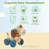 image:imagePlanToys Puppy Wooden Push amp Pull Toy  Montessori Inspired Walking Toy for Balance Coordination amp Active Play  Eco Friendly Toddler Movement ActivityPuppy