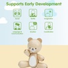 image:imagePlanToys Wooden Bear Grasping Montessori Toy  EcoFriendly Educational Toy for Motor Skill Development Coordination amp Auditory Learning