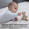 image:imagePlanToys Wooden Bear Grasping Montessori Toy  EcoFriendly Educational Toy for Motor Skill Development Coordination amp Auditory Learning