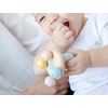 image:imagePlanToys Wooden Bell Rattle and Teether Toy 5250  Pastel Color Collection Sustainably Made from Rubberwood and NonToxic Paints and Dyes