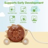 image:imagePlanToys Wooden Pull Along Drummer  Musical Toy that Encourages Rhythm Coordination amp Focus  Montessori EcoFriendly Educational Toy for Active amp Imaginative PlayPull Along Hedgehog  Brown