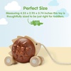 image:imagePlanToys Wooden Pull Along Drummer  Musical Toy that Encourages Rhythm Coordination amp Focus  Montessori EcoFriendly Educational Toy for Active amp Imaginative PlayPull Along Hedgehog  Brown