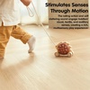 image:imagePlanToys Wooden Pull Along Drummer  Musical Toy that Encourages Rhythm Coordination amp Focus  Montessori EcoFriendly Educational Toy for Active amp Imaginative PlayPull Along Hedgehog  Brown