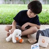 image:imagePlanToys Pet Care Pretend Play Set 3491  Sustainably Made from Rubberwood and NonToxic Paints and Dyes