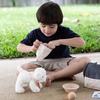 image:imagePlanToys Pet Care Pretend Play Set 3491  Sustainably Made from Rubberwood and NonToxic Paints and Dyes