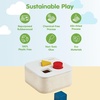 image:imagePlanToys Punch and Drop Bin Wooden Montessori Fine Motor and Cause and Effect Toy  Coordination Problem Solving and Early Learning Activity  Eco Friendly Educational Hammer and Ball SetShape  Sort It Out Bin