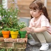 image:imagePlanToys Wooden 3Piece Plant Pot Set  Montessori Gardening amp Planting Activity for Fine Motor Skills Responsibility amp Early Learning  Eco Friendly Indoor amp Outdoor Play