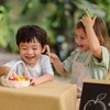 image:imagePlanToys Wooden Berry amp Citrus Basket Montessori Kids Kitchen Play Set  mixing serving knife fruit basket pretend food girls boys fine motor role play imaginative social gift preschool