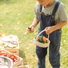 image:imagePlanToys Wooden Fresh Veggie Basket Toy Montessori Kids Market Play Set  sorting fruits and vegetables toys pretend food girls boys fine motor role social imaginative gift preschool set fun