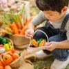 image:imagePlanToys Wooden Fresh Veggie Basket Toy Montessori Kids Market Play Set  sorting fruits and vegetables toys pretend food girls boys fine motor role social imaginative gift preschool set fun