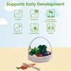 image:imagePlanToys Wooden Garden Fresh Basket Montessori Pretend Kids Kitchen Set  cutting sorting knife fruit basket pretend food girls boys fine motor role imaginative social gift preschool set