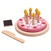image:imagePT  Birthday Cake Set