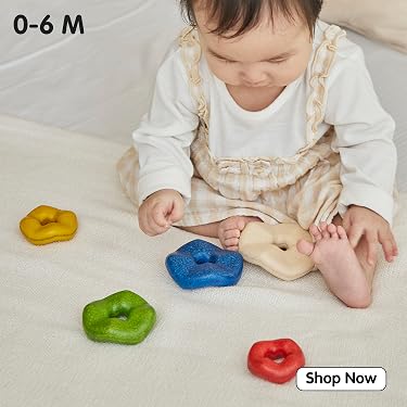 PlanToys — Best Eco-Friendly Wooden Toys,Smart Toys for Growing Minds