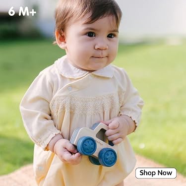 PlanToys — Best Eco-Friendly Wooden Toys,Smart Toys for Growing Minds