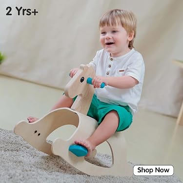 PlanToys — Best Eco-Friendly Wooden Toys,Smart Toys for Growing Minds