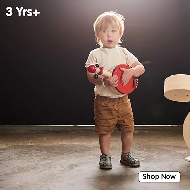 PlanToys — Best Eco-Friendly Wooden Toys,Smart Toys for Growing Minds