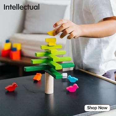 PlanToys — Best Eco-Friendly Wooden Toys,Smart Toys for Growing Minds