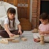 image:imagePlanToys 10 Piece Hollow Wooden Building and Construction Block Set 5509  Sustainably Made from Rubberwood and NonToxic Paints and Dyes  PlanNatural Classic Wooden Toy Collection