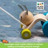 image:imagePlanToys Hopping Rabbit Pull Toy  Sustainably Made from Rubberwood Featuring OrganicPigment Coloring and WaterBased Dyes with Hopping Action when Pulled