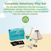 image:imagePlanToys Wooden Veterinary Play Set for Kids Stethoscope Syringe amp Cone  thermometer carry bag vet play set girls boys pretend animal care imaginative role social gift preschool learning fun