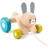 image:imagePlanToys Hopping Rabbit Pull Toy  Sustainably Made from Rubberwood Featuring OrganicPigment Coloring and WaterBased Dyes with Hopping Action when Pulled