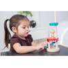 image:imagePlanToys Jumping Acrobat