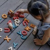 image:imagePlanToys Wooden Hand Sign Alphabet Learning Set Montessori ABC Kids Toy  hand sign letters wooden alphabet learning set montessori ABC letter recognition sign language sensory play kids toyUpper Case Alphabet