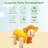image:imagePlanToys DIY Triceratops Wood Dinosaur Toy for Kids  STEM Learning Construction Kit with Rubber amp Wood Parts  Educational Toy with Flashcard for Logical Thinking Creativity amp Motor Skills